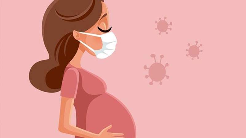 دراسة تربط الإصابة بكورونا أثناء الحمل بزيادة خطر وفاة الأم