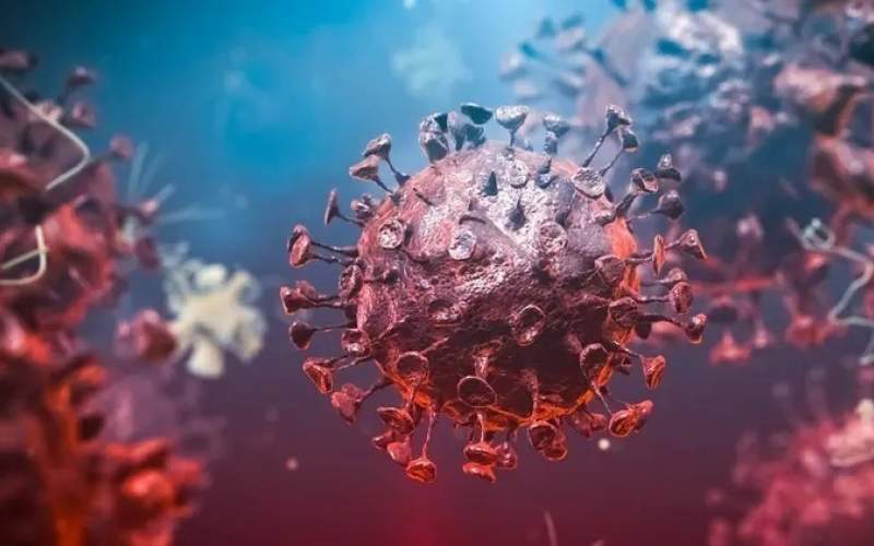 توقع بتفشي كورونا بعد انتهاء موسم السياحة