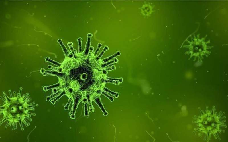 لماذا قد لا يختفي فيروس كورونا أبدا؟.. إليك الأسباب العلمية