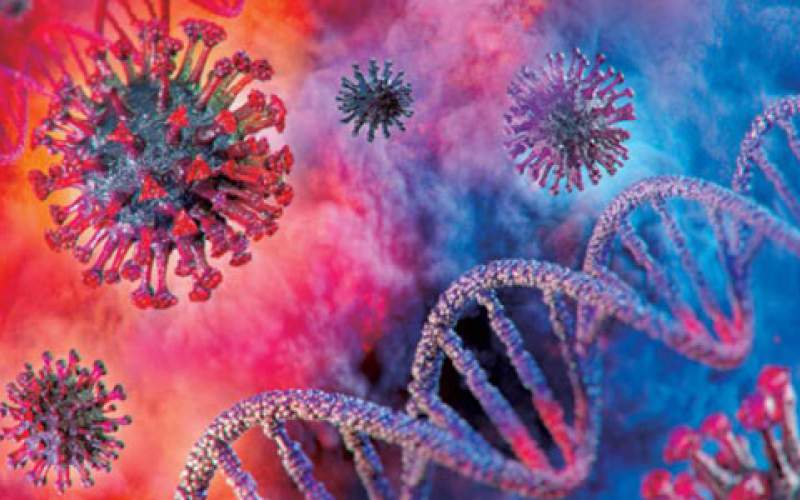 دراسة جديدة تكشف إحدى طرق فيروس SARS-CoV-2 لتجنيد الخلايا للتكاثر