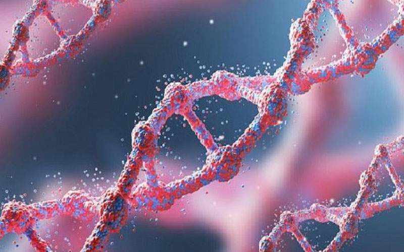 دراسة تكتشف المخاطر الجينية لفيروس كورونا 
