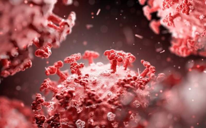 آخر احصاءات كورونا عالمياً