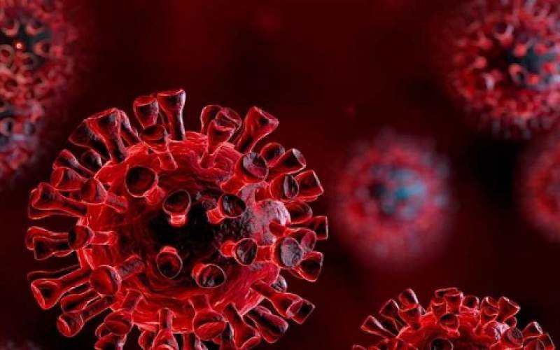 روسيا: 6,6 ألف إصابة بكورونا و149 وفاة خلال اليوم الماضي