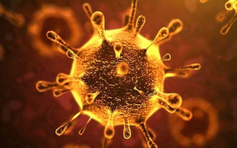 طفرة متحورة جديدة لكورونا ناجمة عن اندماج طفرتي بريطانيا وكاليفورنيا