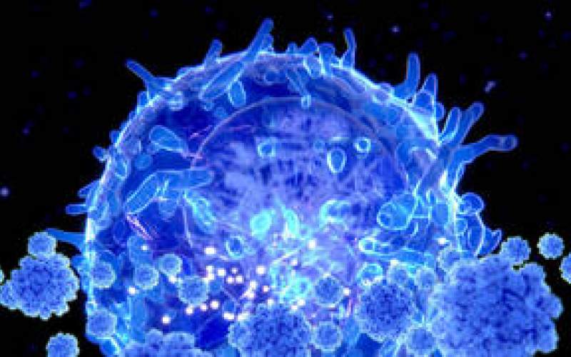 مصابو كورونا سيطورون مناعة طويلة الأمد للخلايا التائية