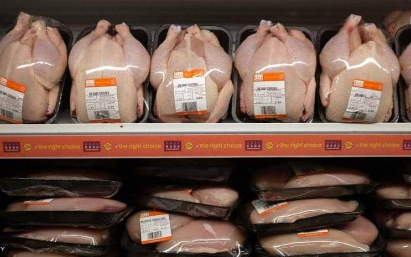 اكتشاف فيروس كورونا في أجنحة دجاج مجمدة في الصين 