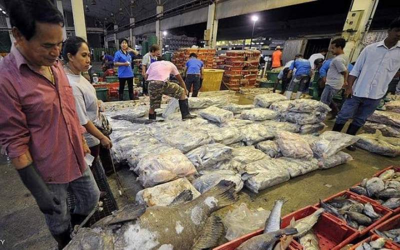 أكثر من 1000 اصابة.. كورونا يتفشى داخل سوق للأسماك في تايلاند 