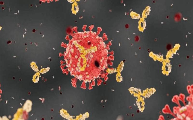 هل من سبيل لتعطيل انتشار فيروس كورونا؟