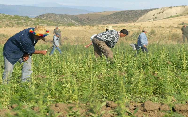 كورونا يفتح فرص عمل للآلاف في اسبانيا