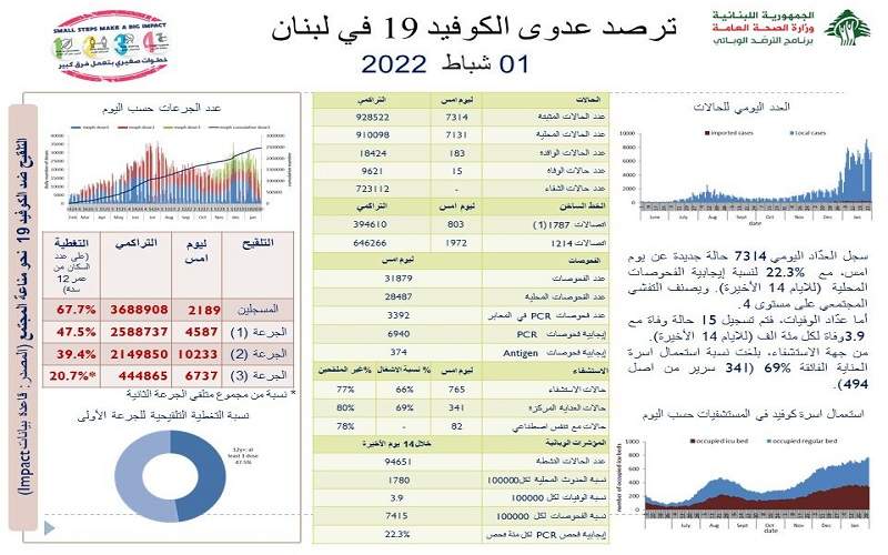 وزارة الصحة اللبنانية: 7314 إصابة جديدة بفيروس كورونا و 15 حالة وفاة