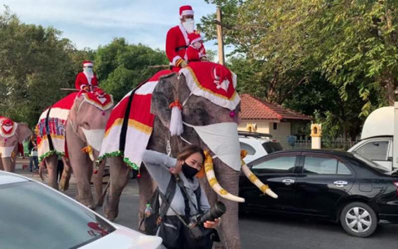 فيلة بزي سانتا كلوز توزع الكمامات في مدرسة تايلاندية