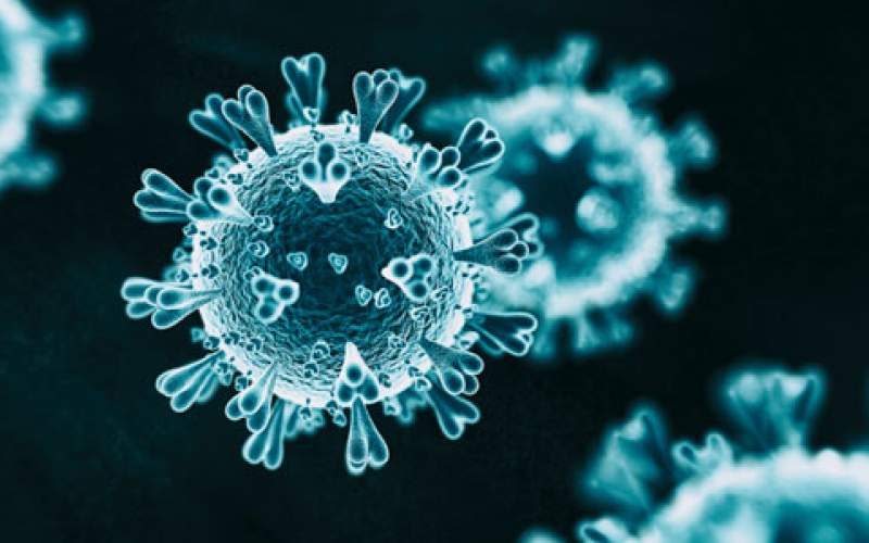 متى  توقع خبراء أردنيون أن يختفي فيروس؟ 