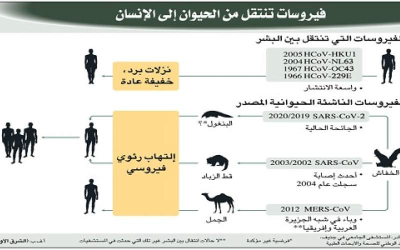 4 ألغاز لـ«كوفيد ـ 19» لا تزال تحيّر العلماء