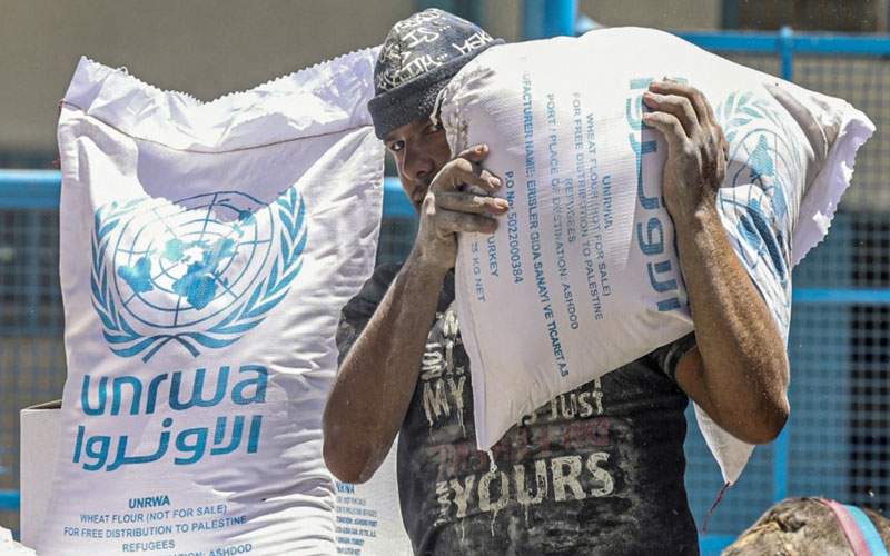الأمم المتحدة: قطاع غزة بحاجة إلى مئة شاحنة مساعدات في اليوم