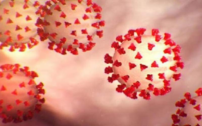 كورونا يحصد أرواح أكثر من 707 آلاف شخص والإصابات تقترب من 19 مليونا