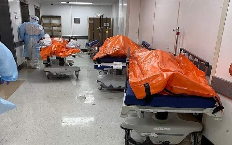 عدد ضحايا كورونا في أمريكا يتجاوز خسائر حرب فيتنام