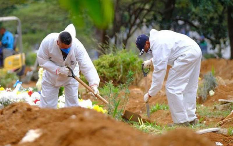 البرازيل تسجل 243 وفاة و 11843 إصابة  جديدة بفيروس كورونا