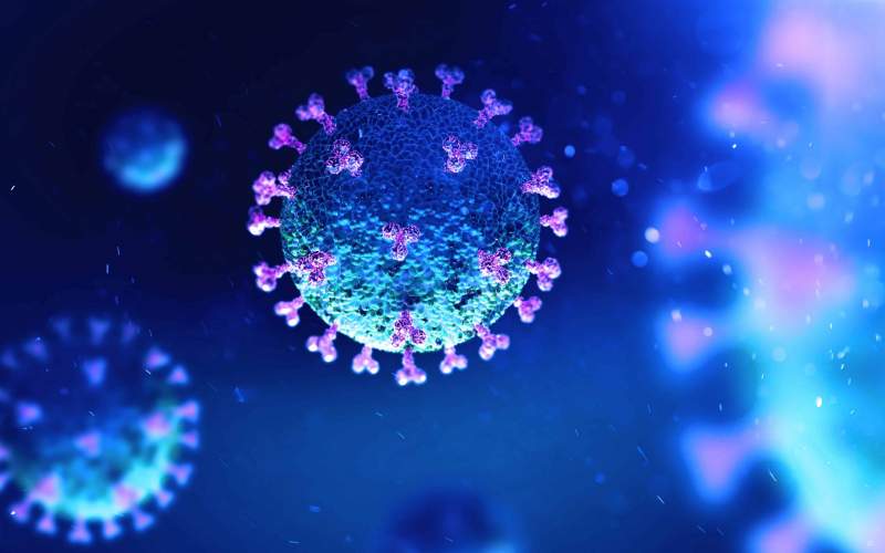 بلد يكتشف سلالة جديدة من فيروس كورونا يصعب اكتشافها بواسطة اختبارات الـ PCR 
