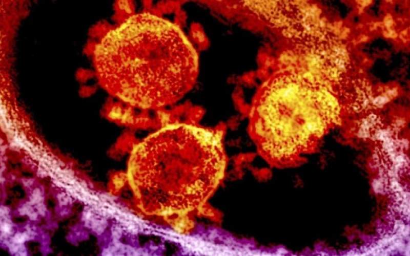 فايروس كورونا.. يصيب مليون و200 ألف ويحصد 65 ألفاً 