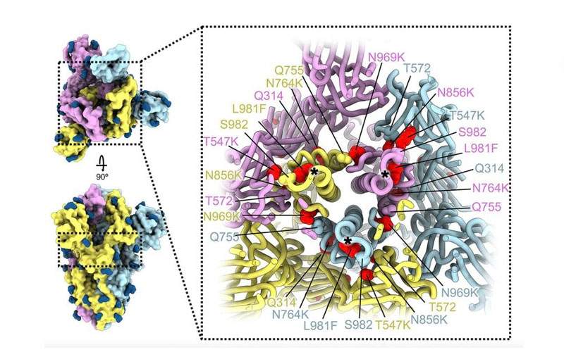 دراسة جديدة تقدم تفاصيل التغييرات في بروتين 