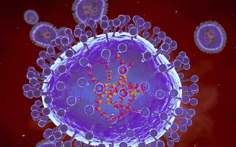 خبراء يحذرون من فيروس خطير 