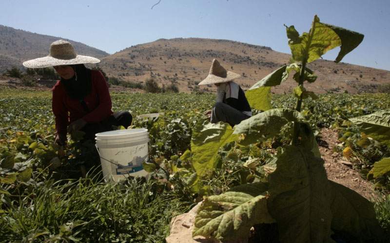 المنظمات الدولية تهوّل: «مجاعة» في لبنان