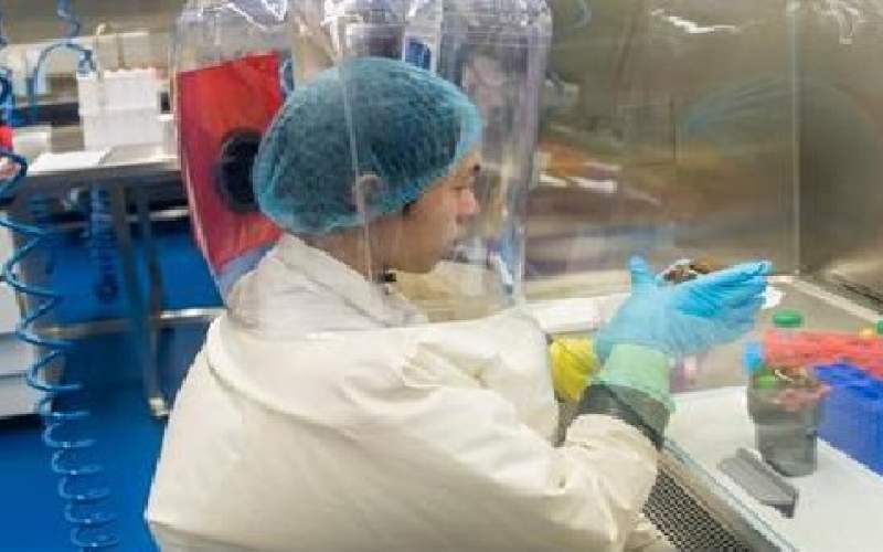 ما يقال عن أصل كورونا مستحيل.. هذا ما قاله مختبر الخفافيش في ووهان