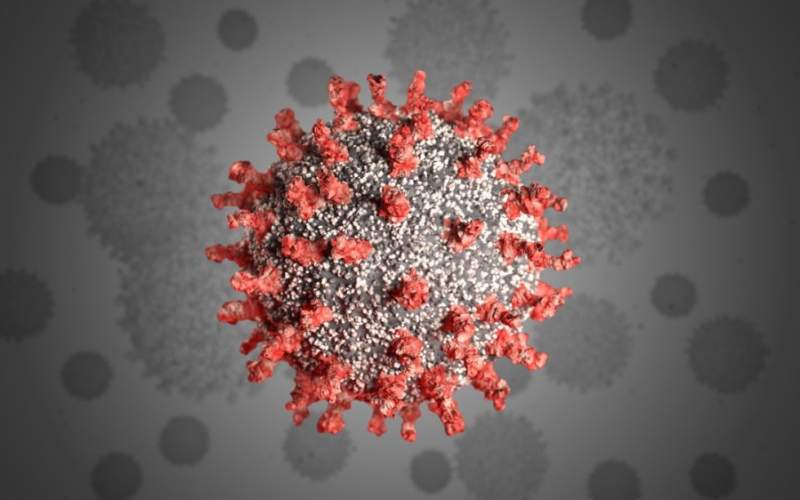 آخر احصاءات كورونا عالمياً