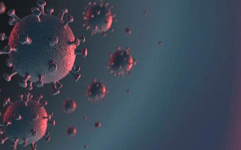  الصين تكشف عن أصل فيروس كورونا