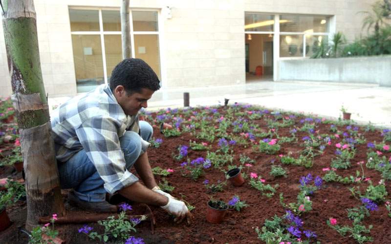 العدو يحرق الأخضر واليابس والدولة غائبة: الزراعة تموت في الجنوب