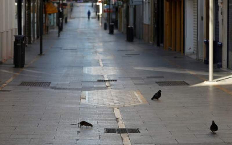 قيود كورونا تقلل عدد ضحايا حوادث السير في إسبانيا إلى أدنى مستوى