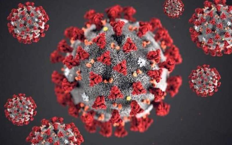  أكثر من 1,15 مليون وفاة و43,08 مليون إصابة بكورونا في العالم