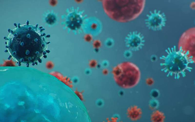 إصابات كورونا تقترب من 25 مليوناً عالمياً