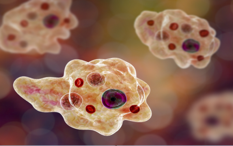 هل يمكن لأمراض اللثة أن تجعل فيروس كورونا أكثر فتكا؟