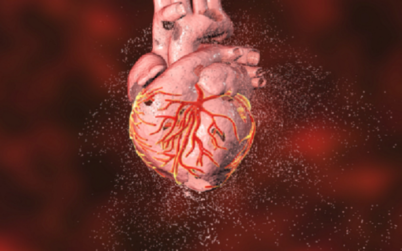 كورونا يزيد من خطر الإصابة بأمراض القلب