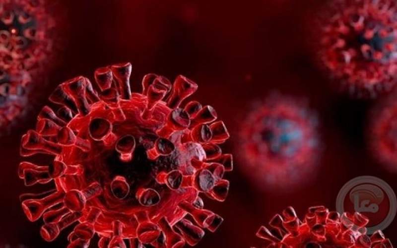عالم روسي يتوقع ظهور طفرة جديد لفيروس كورونا في الخريف 