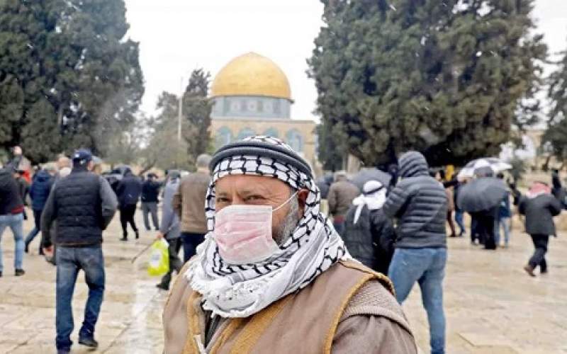 الصحة الفلسطينية  تعلن عن تسجيل 59 إصابة جديدة بفيروس كورونا