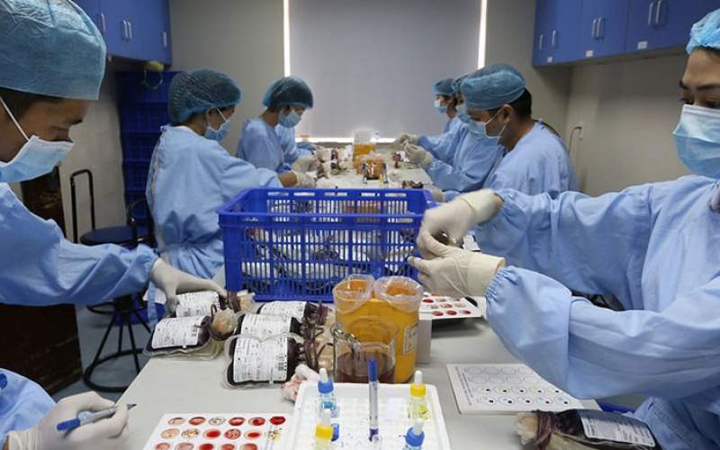 العثور على أنواع جديدة من فيروس كورونا في الإكوادور