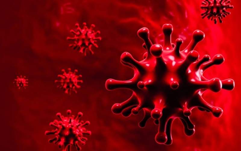 حصيلة الفيروس في العالم حتى الساعة 