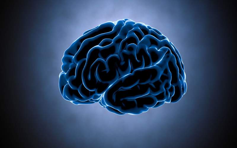 دراسة صادمة: كورونا يصيب الدماغ ويتكاثر داخل خلاياه