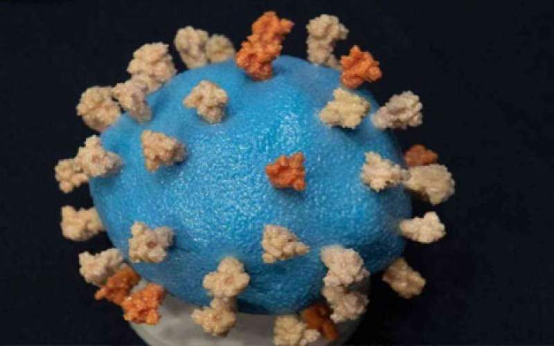 6 إصابات بفيروس كورونا المتحور في نيوزيلندا