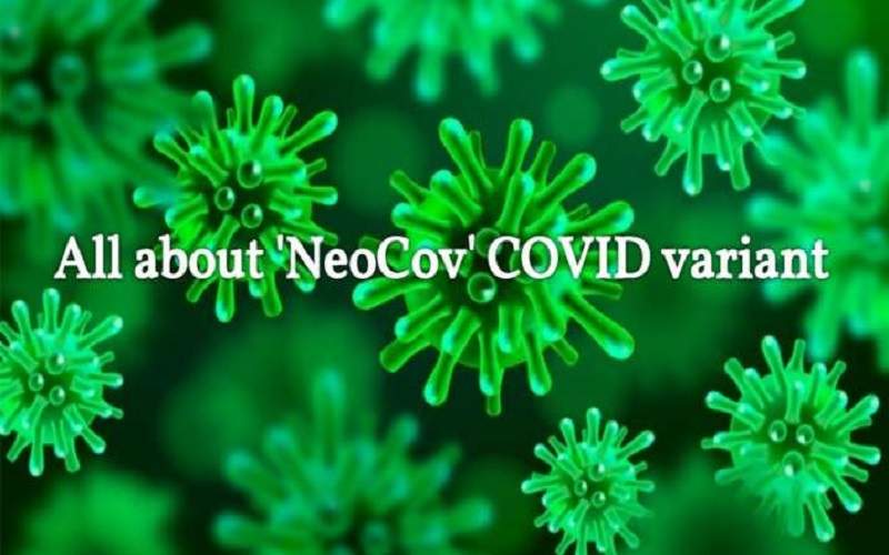 لا دليل حتى الآن على انتقال فيروس NeoCoV للبشر