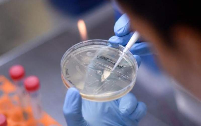 أستراليا توقع اتفاقا مع استرازينيكا لتوفير لقاح أكسفورد لكورونا وتوزيعه مجانا