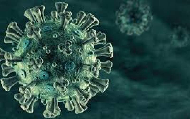 آخر احصاءات كورونا عالمياً