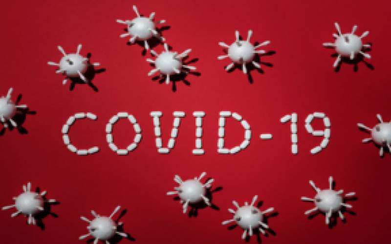 دراسة تكشف عن مجموعة يزيد احتمال إصابتها بـ