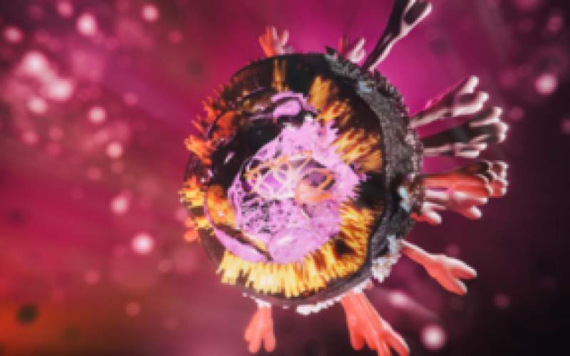 دراسة جديدة تكشف عن المدخل الرئيسي لفيروس كورونا إلى الجسم!