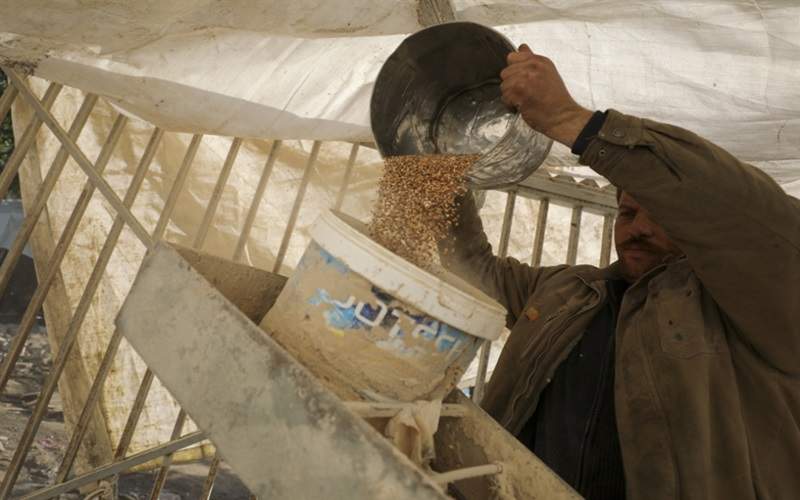 المجاعة تتوسّع شمال غزة: حتى الأعلاف نفدت
