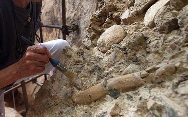 دراسة تربط بين كورونا و