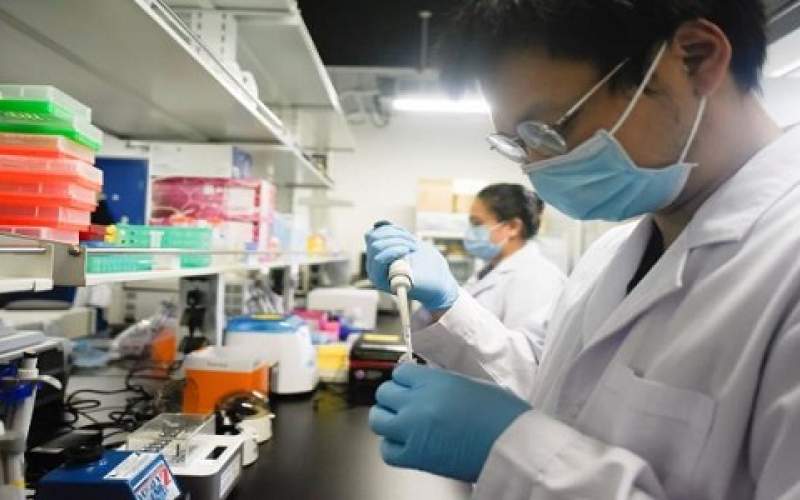 نتائج أولى للقاح كورونا تطوّره كيورفاك الألمانية خلال شهرين