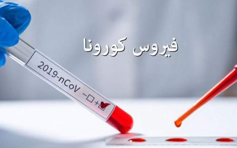 وحدة إدارة الكوارث في اتحاد بلديات صور:7 إصابات جديدة بينها 6 محلية وواحدة وافدة